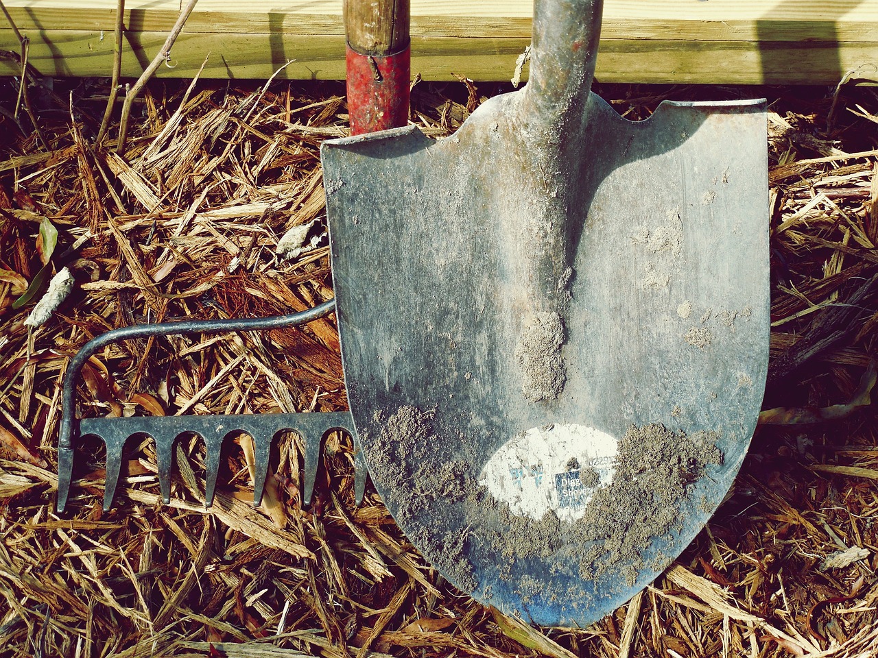 découvrez des outils d'analyse puissants pour transformer vos données en informations exploitables. optimisez vos décisions grâce à des solutions adaptées à vos besoins.